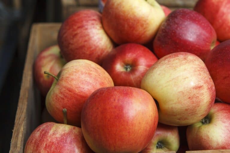 Red apples in the wooden box in the concept of local shops and markets in Uxbridge.