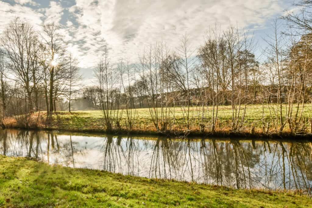 Spacious lawn at the sides of a canal